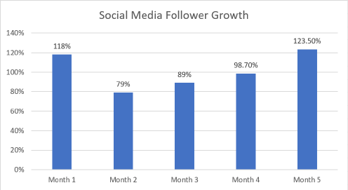 Social Media Follower 01