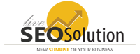 Live Seo Solution